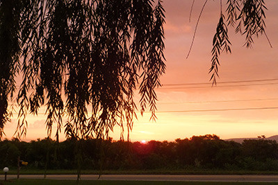 Photo of Willowood Inn Photo of Willowood Inn