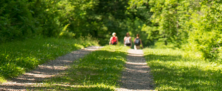 Devil’s Lake Trail Details & Descriptions