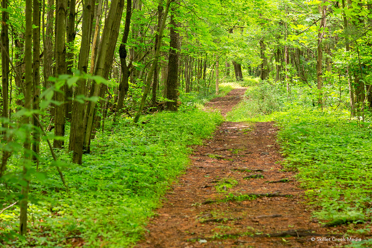 Uplands Trail - Devil's Lake State Park Area Visitor's Guide ...