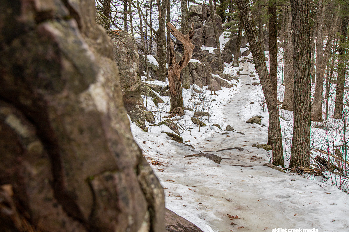 March 5, East Bluff Trail