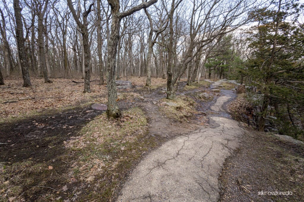 Visible damage as hikers go off trail to avoid crowds and mud.