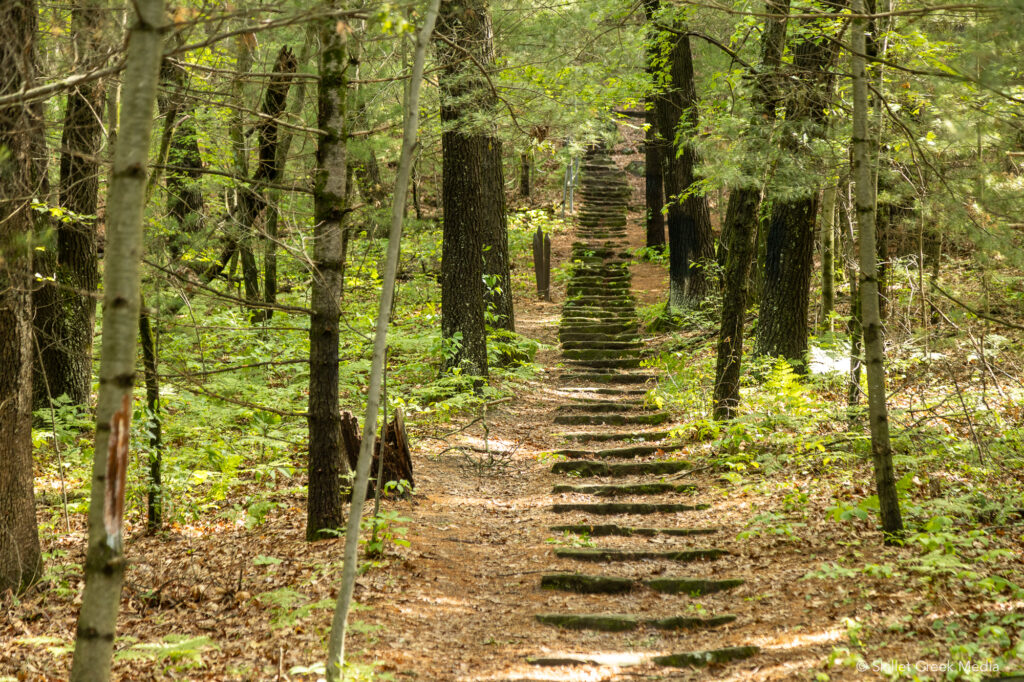 Mill Bluff State Park Stairway