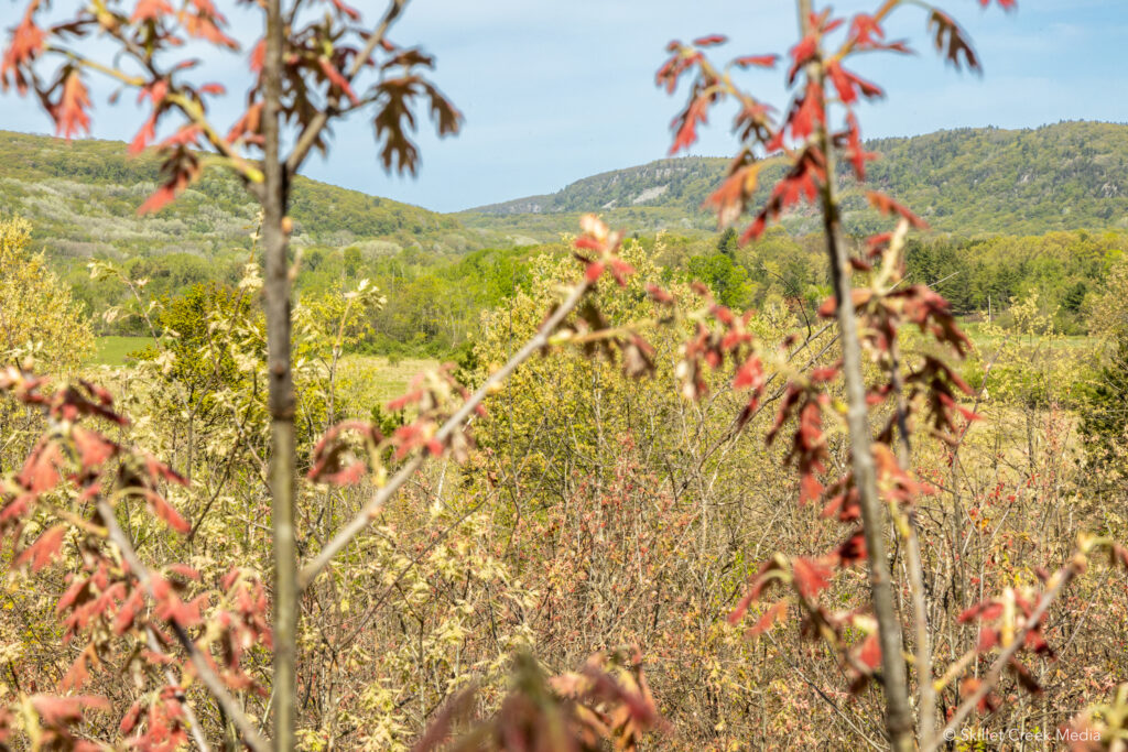 The bluffs of Devil's Lake State Park seen in the distance. 