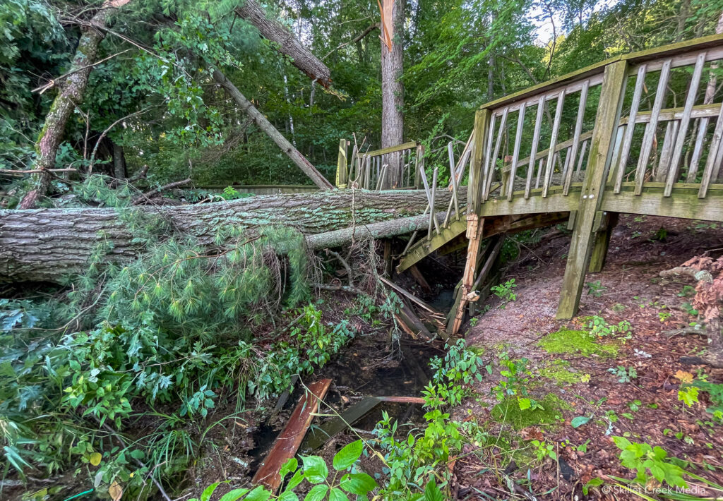 Tree fallen on the bridge, Devil's Lake State Park.