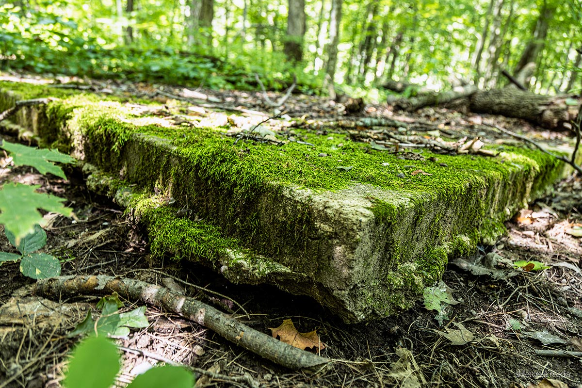 Remains of UW Camp, South Shore of Devil's Lake State Park.