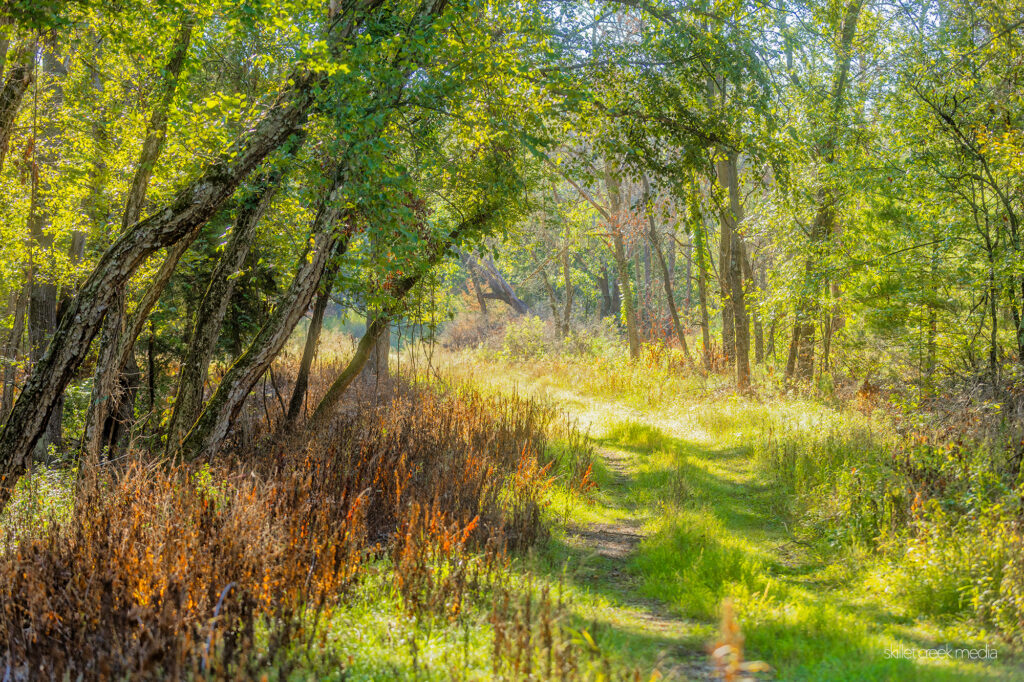 Dekorra Wildlife Area Trail