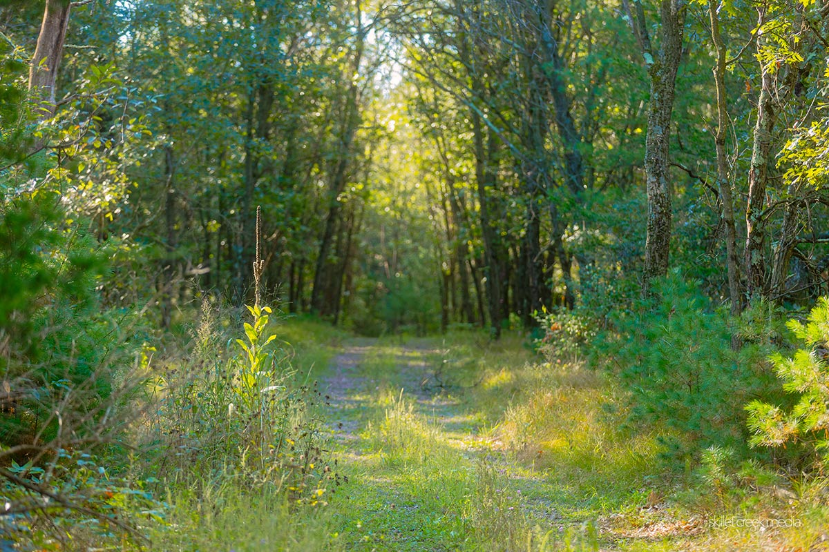 Dekorra Wildlife Area