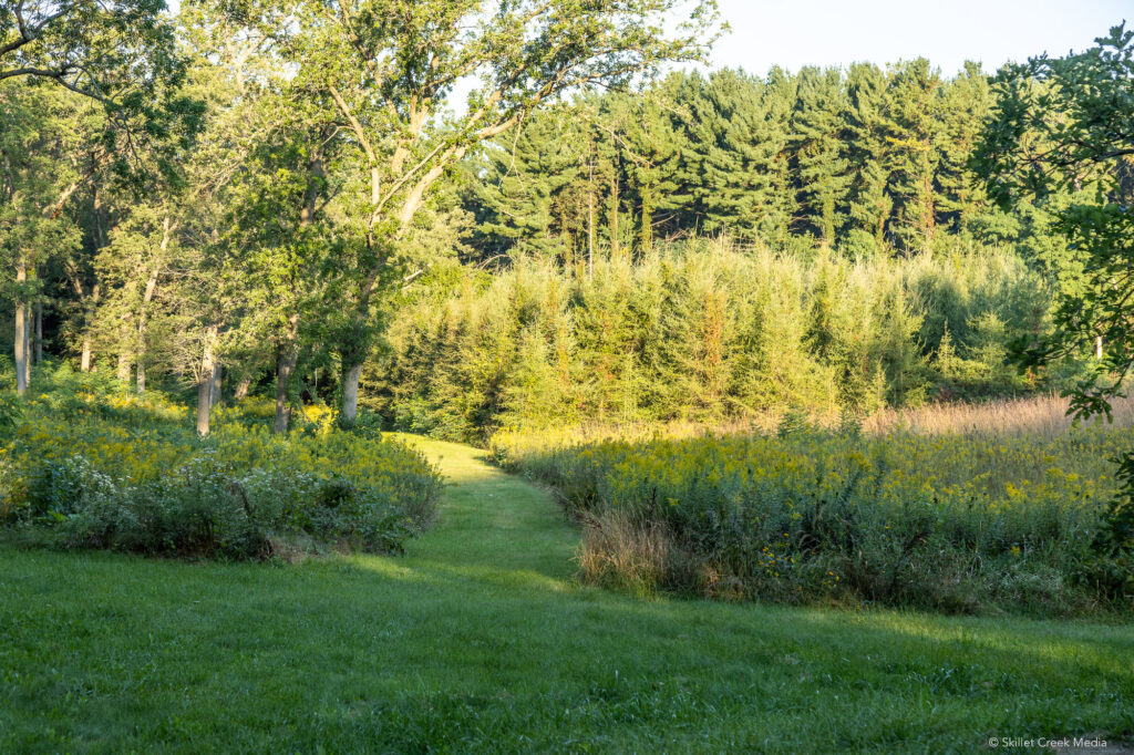 Kingsley Bend Mound 