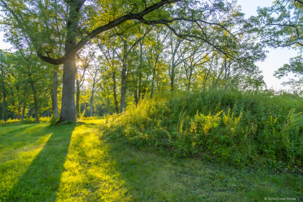 Kingsley Bend Mound 