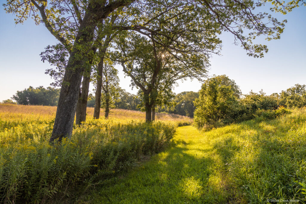 Kingsley Bend Mound 