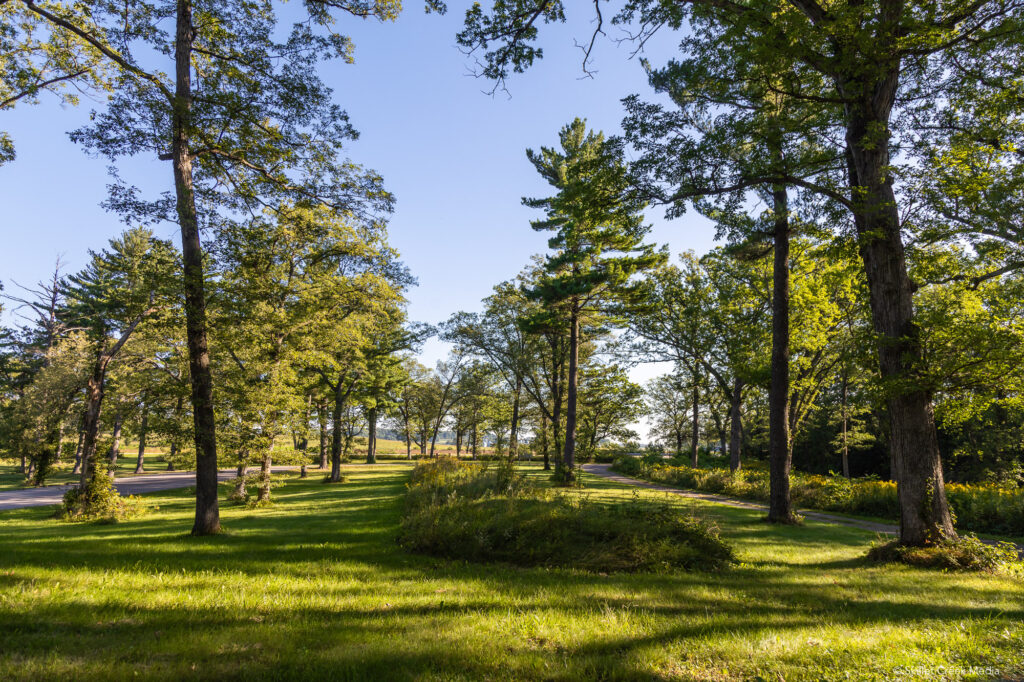 Kingsley Bend Mound 