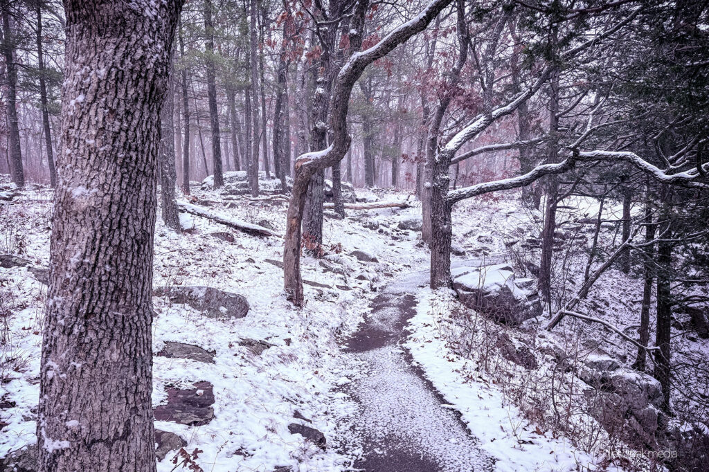 East Bluff Trail