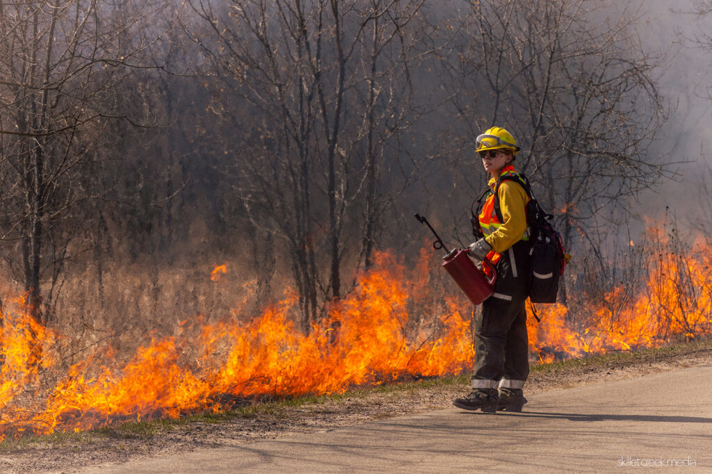 Crew member uses a drip torch to set a flanking fire which will protect South Shore Road. 