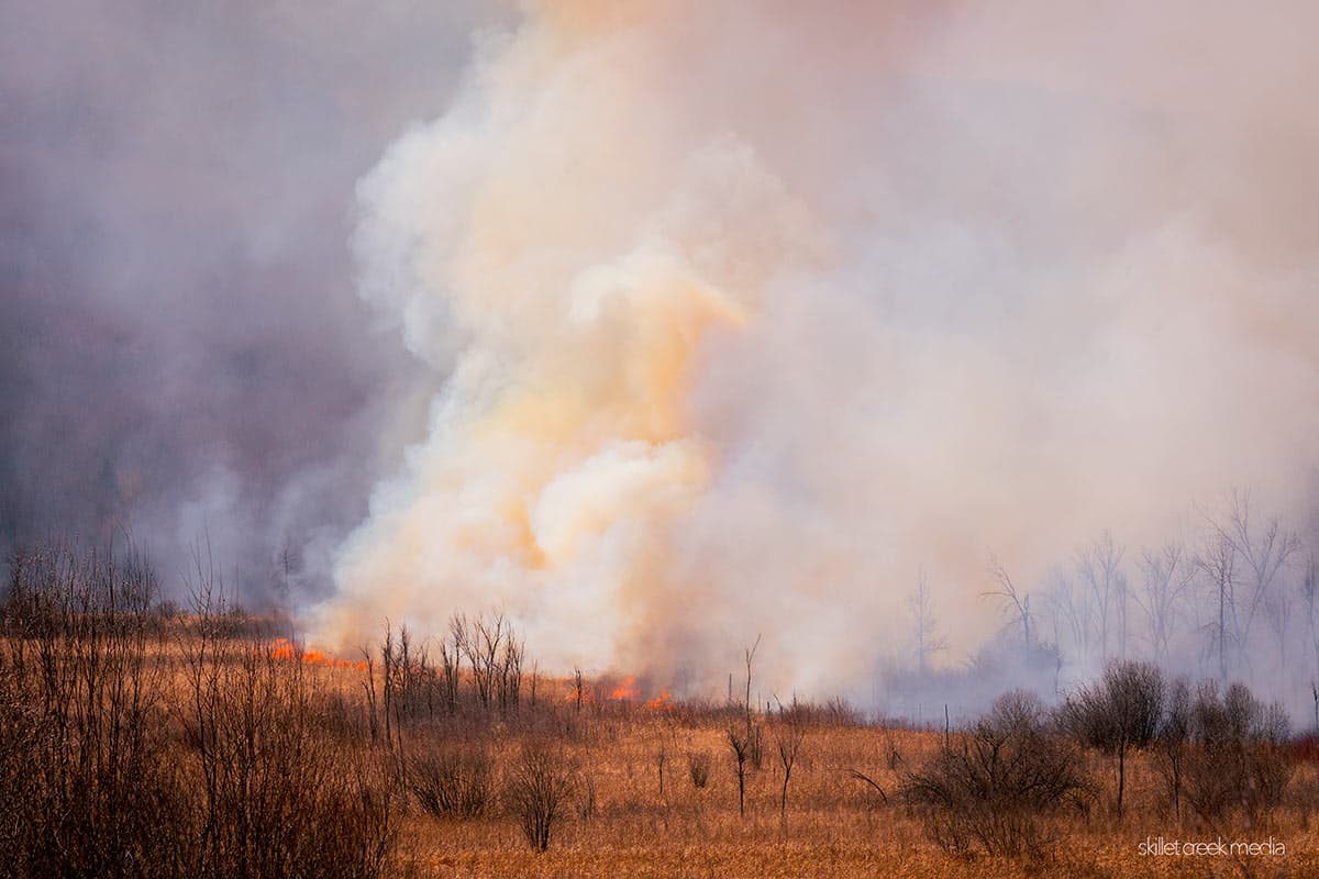 Prescribed Fire, Devil's Lake State Park 2025