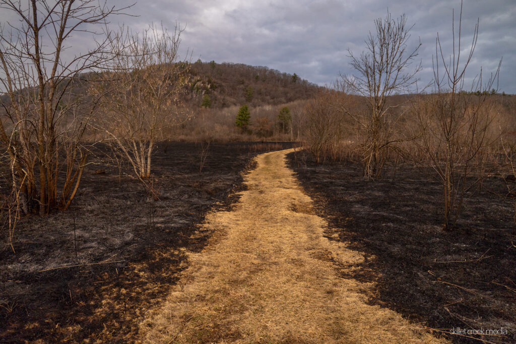 The Ice Age Trail is unburned used as a divider between two burn zones.