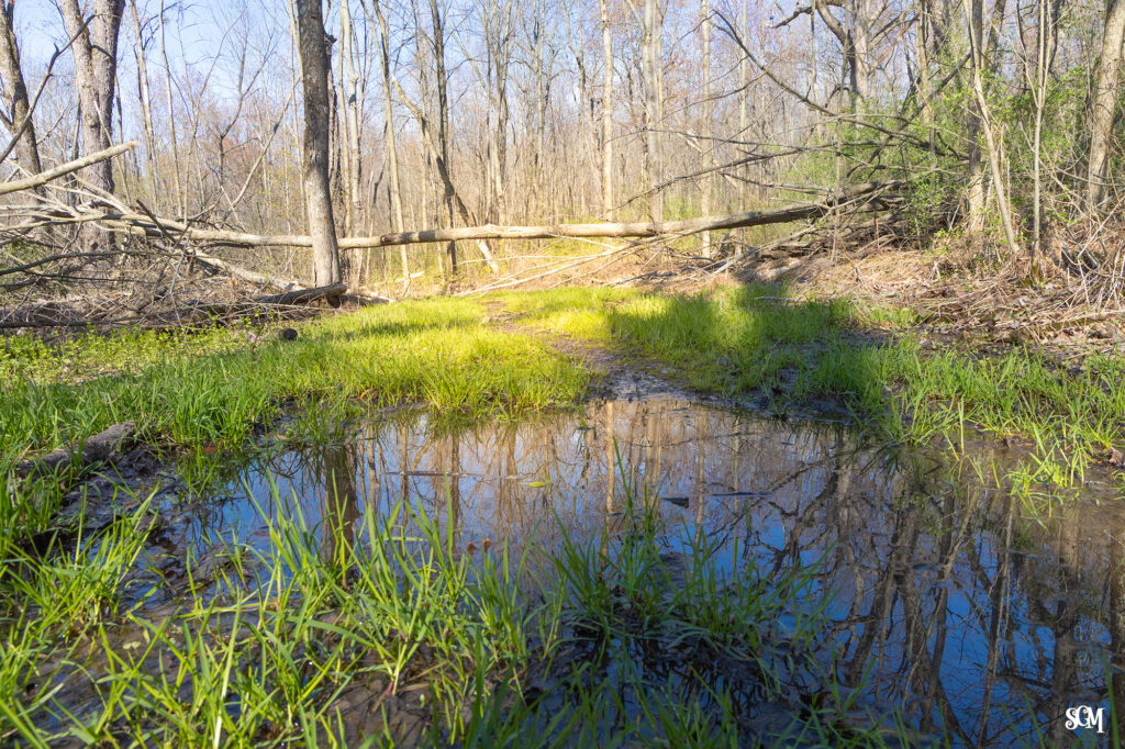 Steinke Basin Trail, April 22nd, 2026 - Devil's Lake State Park