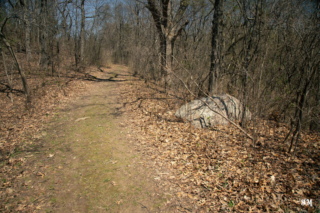 Granite glacial erratic along the Johnson Moraine Trail, Devil's Lake State Park.