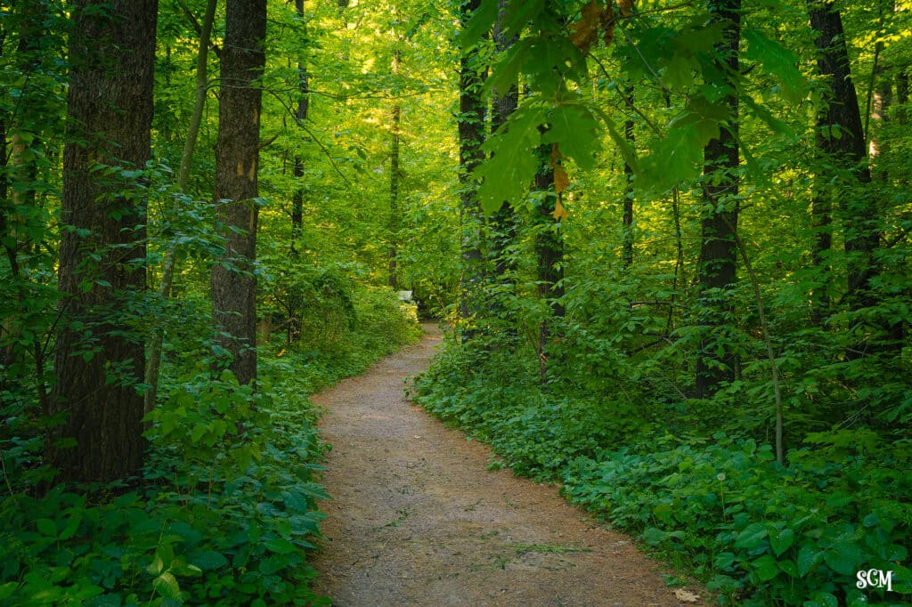 At the foot of the CCC Trail