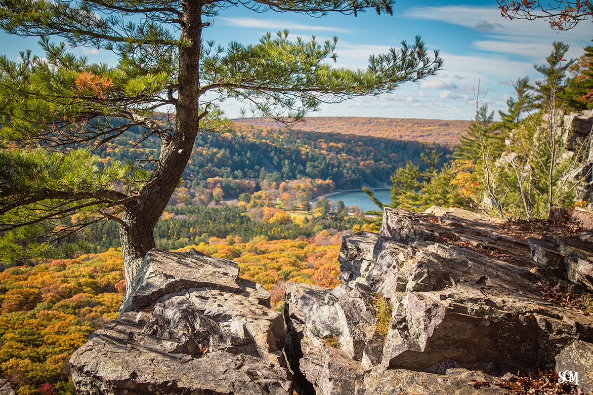 Autumn on the East Bluff