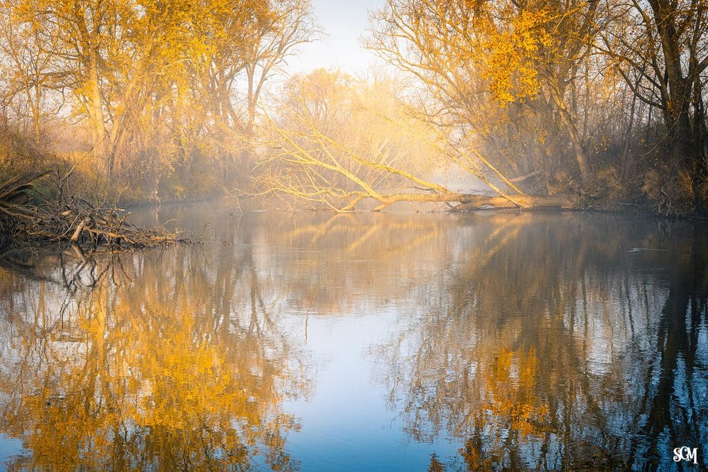 Autumn Morning on the River