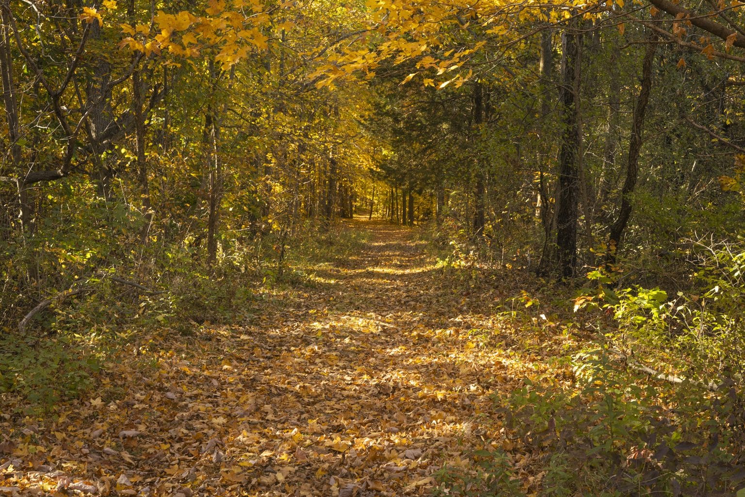 Around Devil's Lake This Weekend - Devil's Lake State Park Area Visitor ...